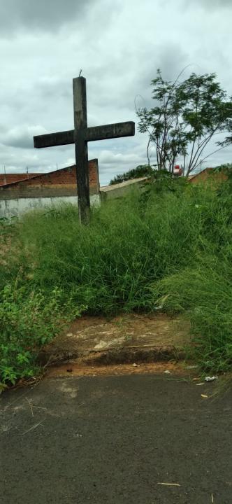 Foto 3 de 6 — Morador reclama de terreno abandonado em Araraquara; 'já vi escorpiões, aranhas e ratos'